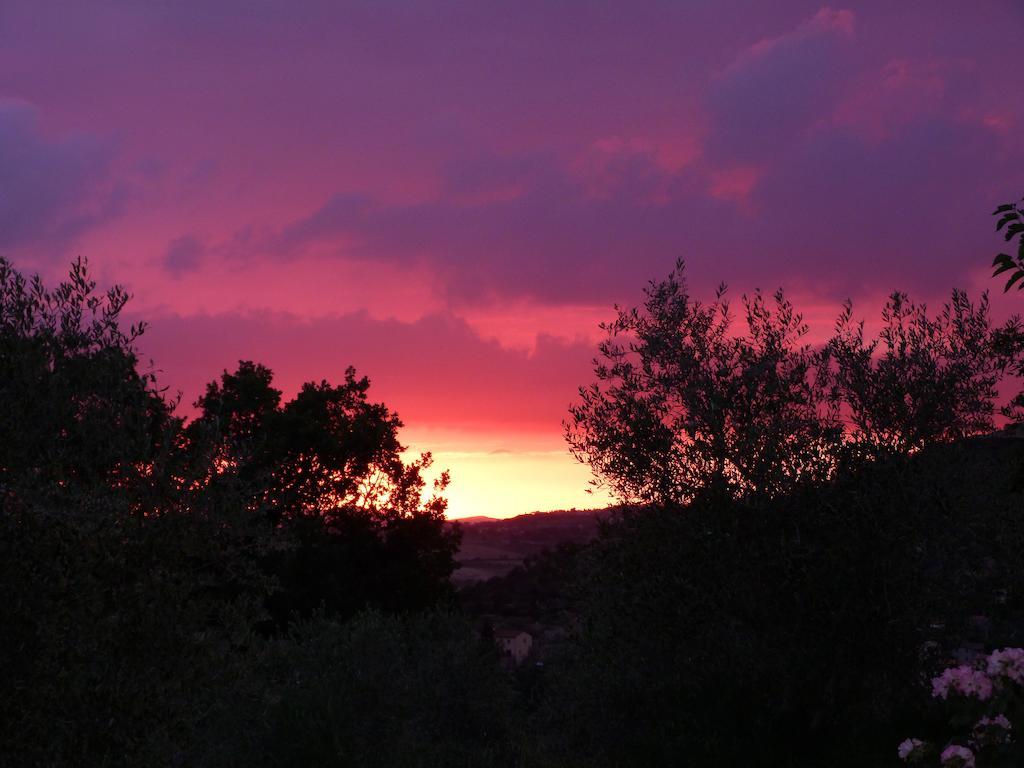 Agriturismo Apparita Montecastelli Pisano Bagian luar foto