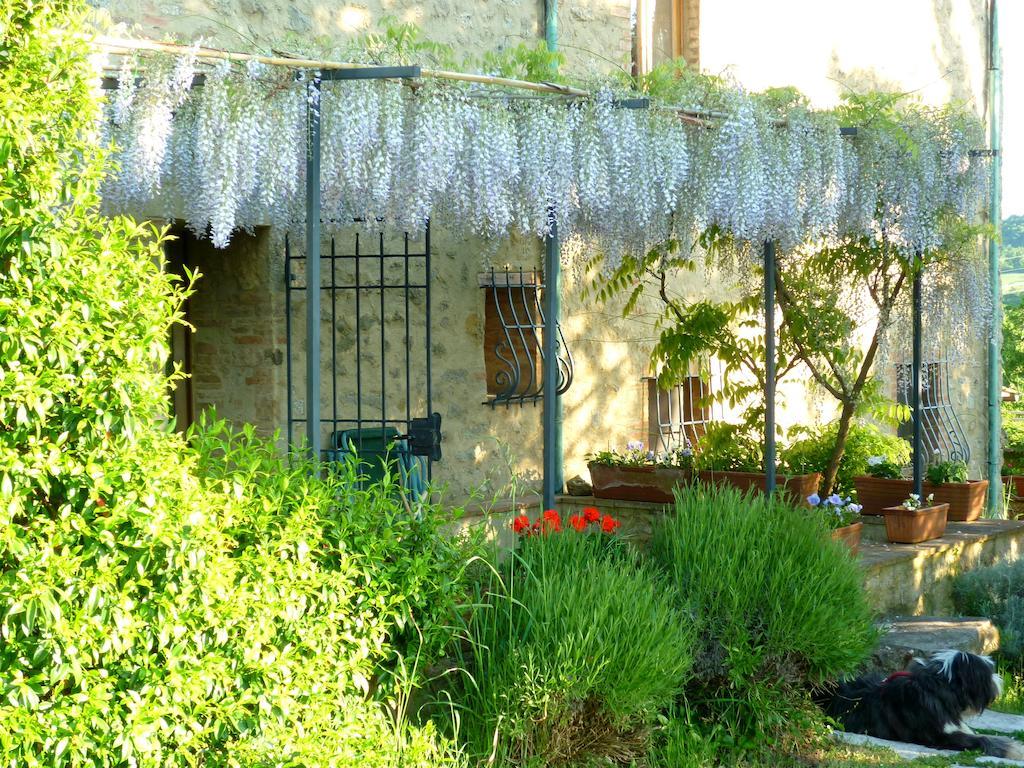Agriturismo Apparita Montecastelli Pisano Bagian luar foto